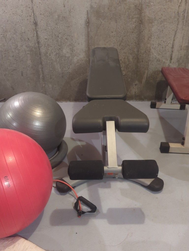 Bench Press