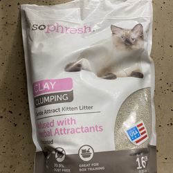Cat Litter 