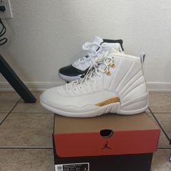 New Jordan  12