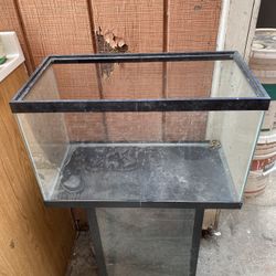 10 Gallon Aquarium 