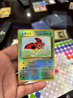 LEDYBA (SI)