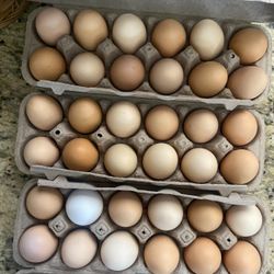 💖🥚 Pretty Eggs From Happy Hens💖🥚