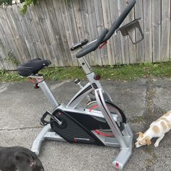 Diamond Back Stationary Bike