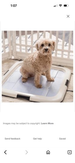 Poppy training pad holder