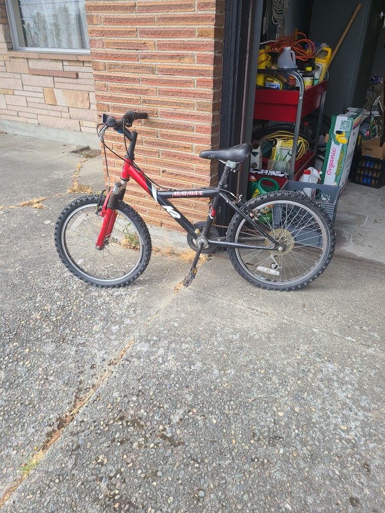 Boy Bicycle