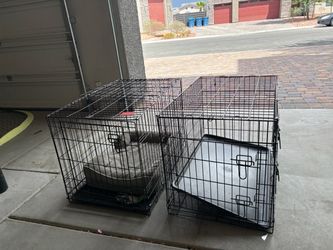 Dog Animal Cage