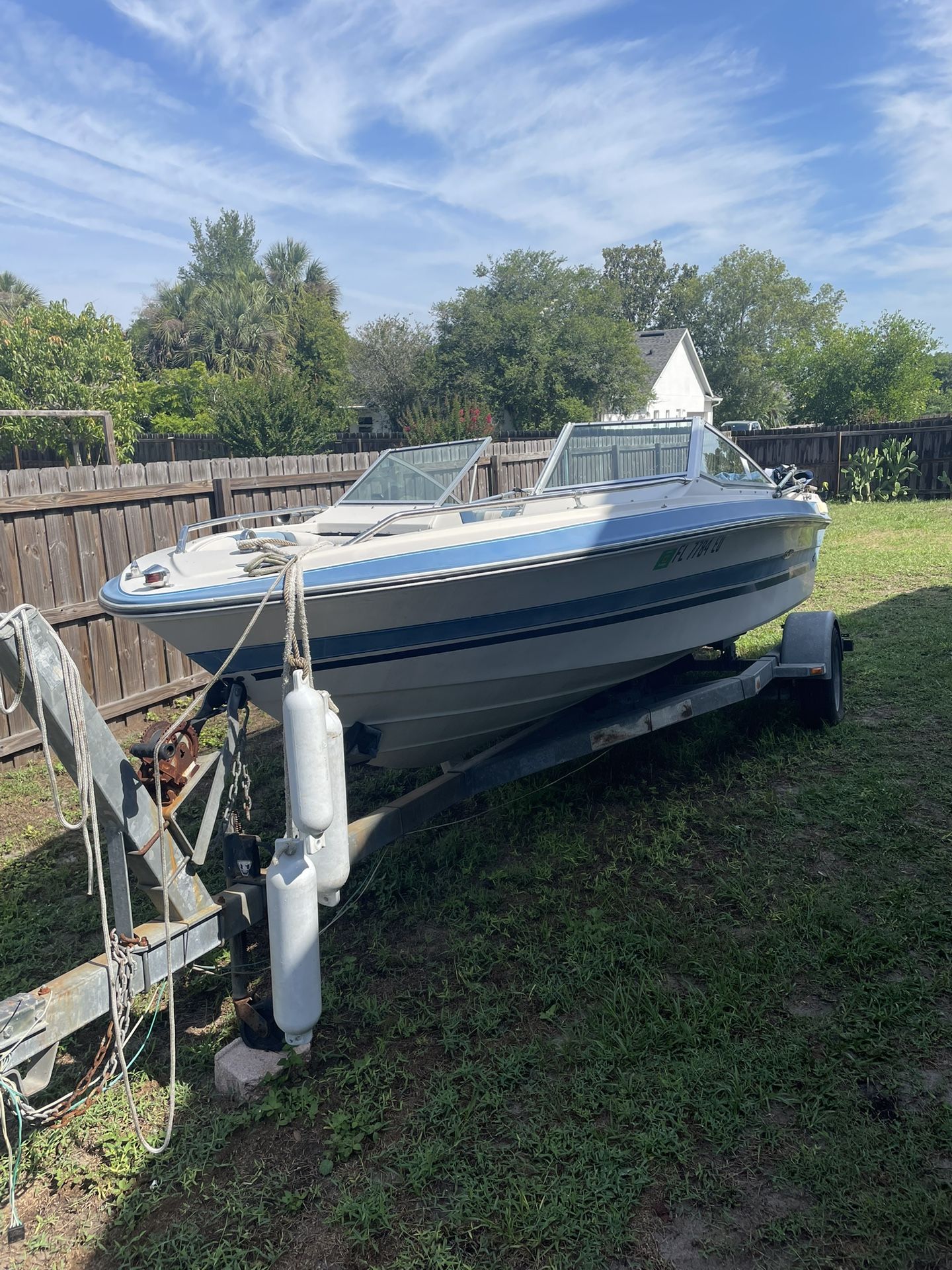 Classic Sea Ray Mercruiser