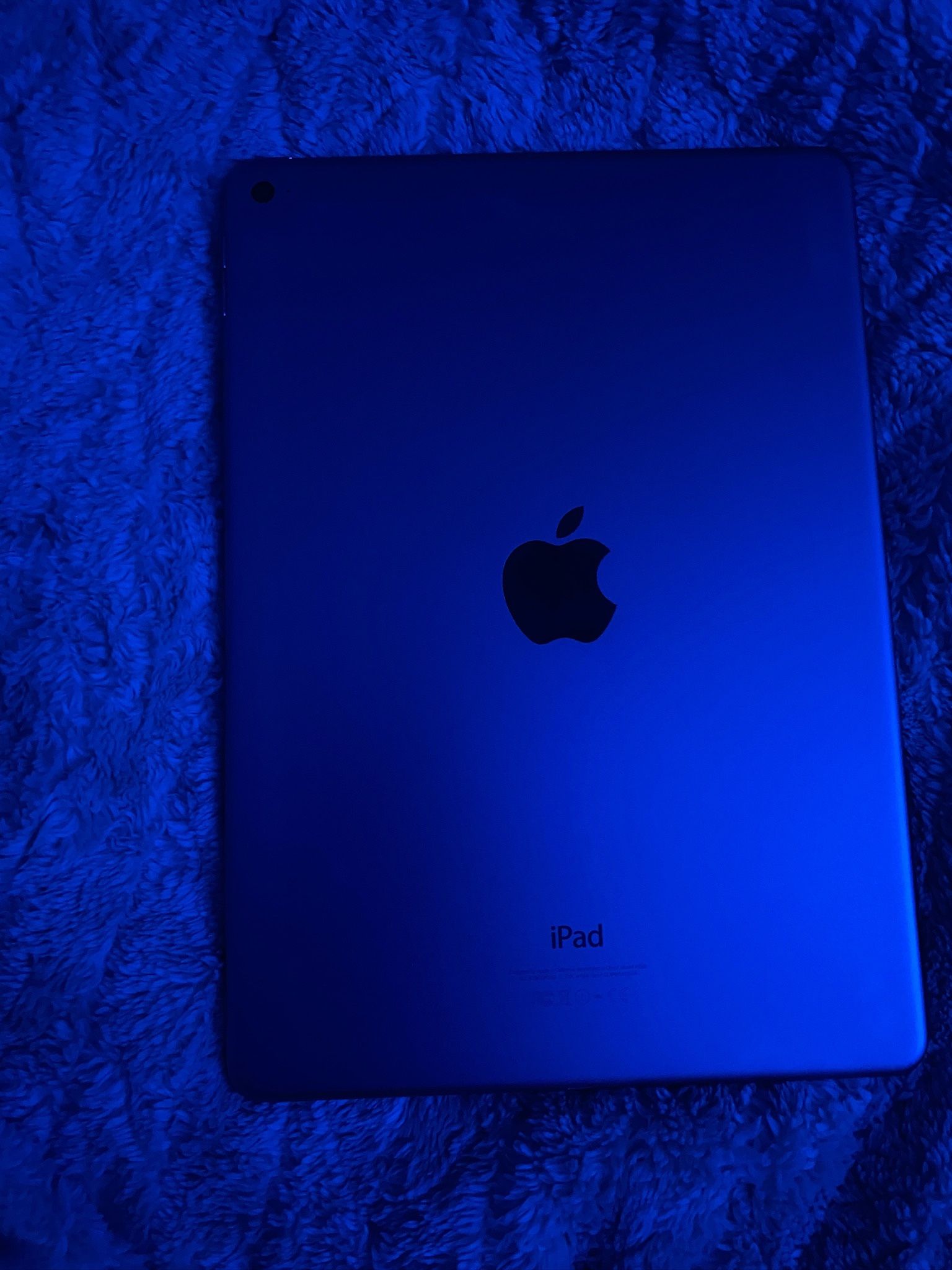 iPad