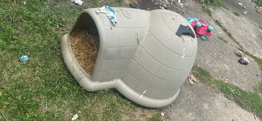 Dog house