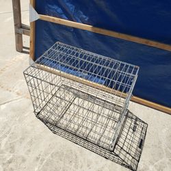 Kennel