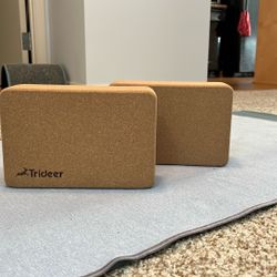 Cork Yoga Blocks, 2-pack