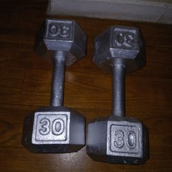 Dumbbells Mancuernas 