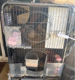 Guinea pig supplies… Cage and Food only….No animals