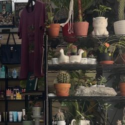 Plant Lovers Cozy Corner