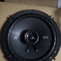 Kickers 6.5