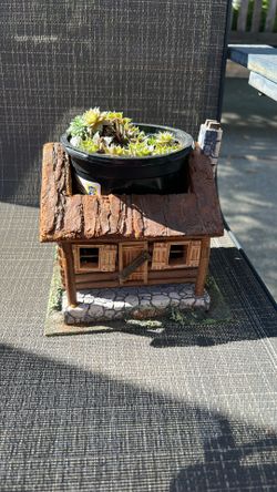 Succulent On Log Cabin House