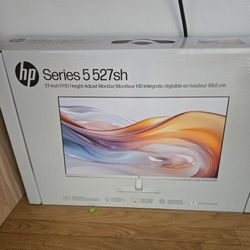 Computer Monitor 