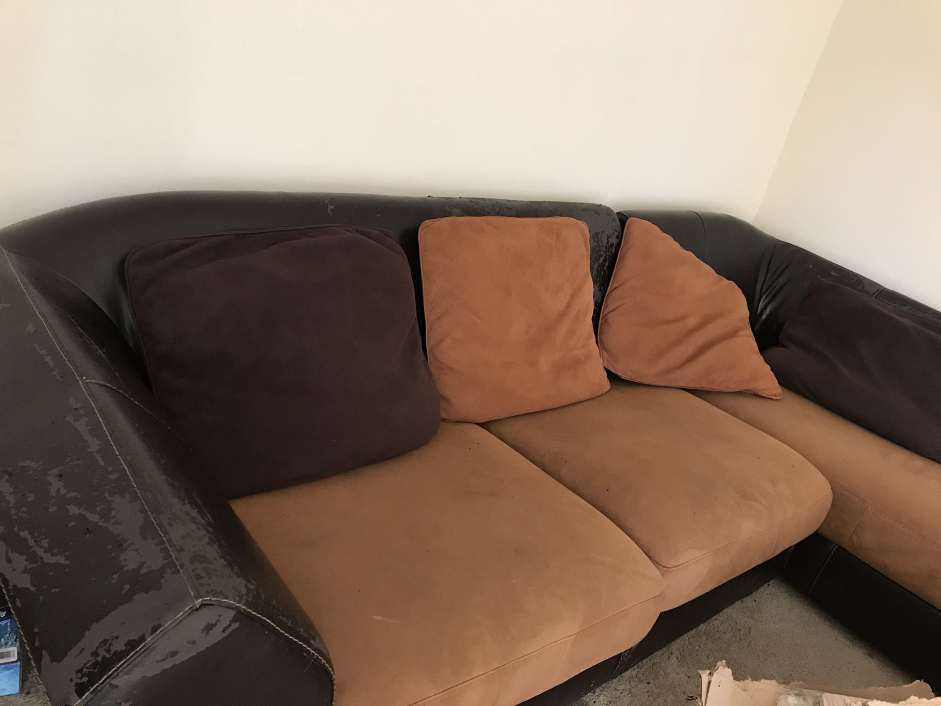 Sofa - sectional couch
