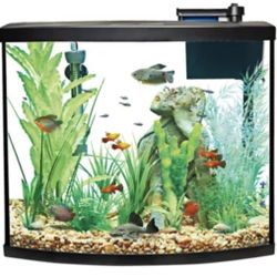 36 Aquarium