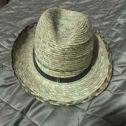 Hay