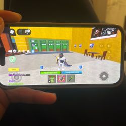 Blox Fruits/Roblox Account