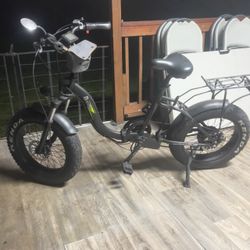 Birdy electric fat-tire folding e-bike.
