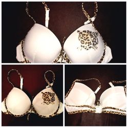 Wild Bra Push Up Underwire 34C