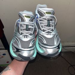 New Puma (velophasis)