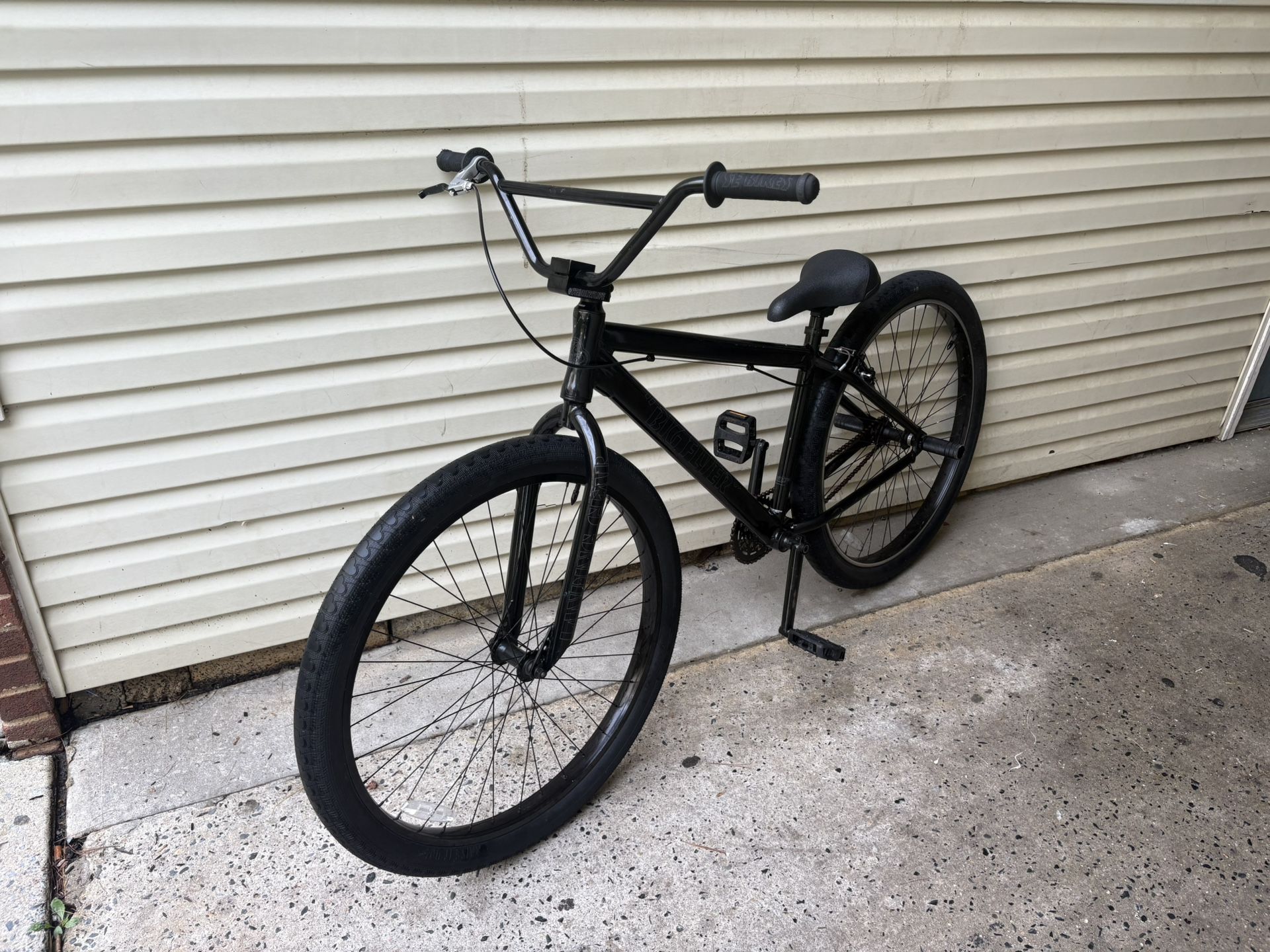 SE BIKE