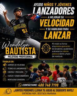 Entrenador de béisbol