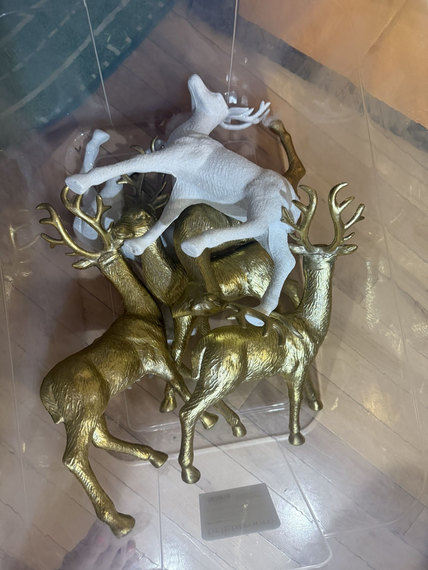 Christmas Reindeer’s