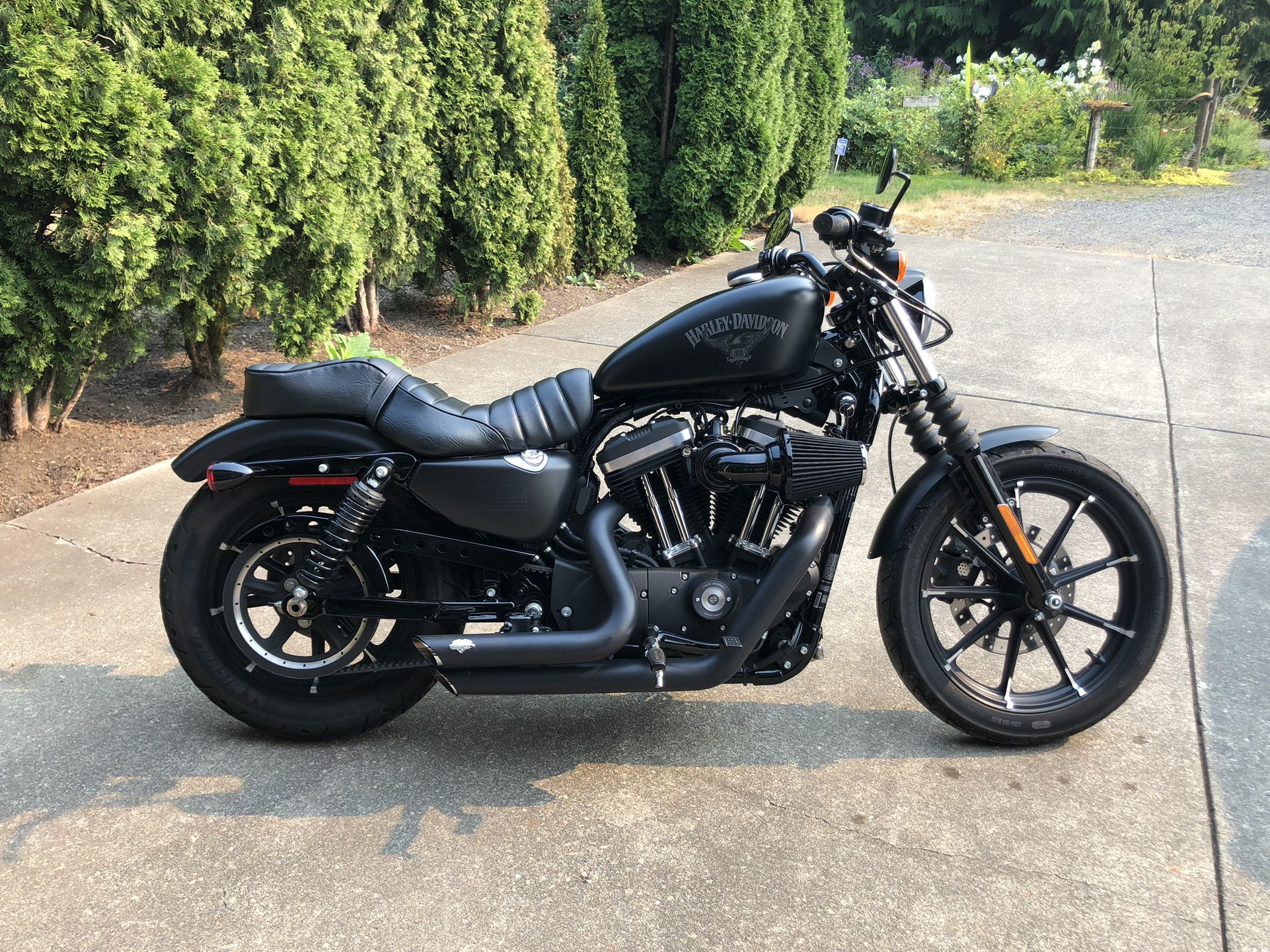2017 Harley Davidson Iron883XLN
