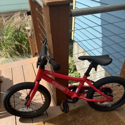Nearly New! REI Coop 16in Rev Kids Bike 16”