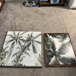 2 Palm Tree Picture Prints