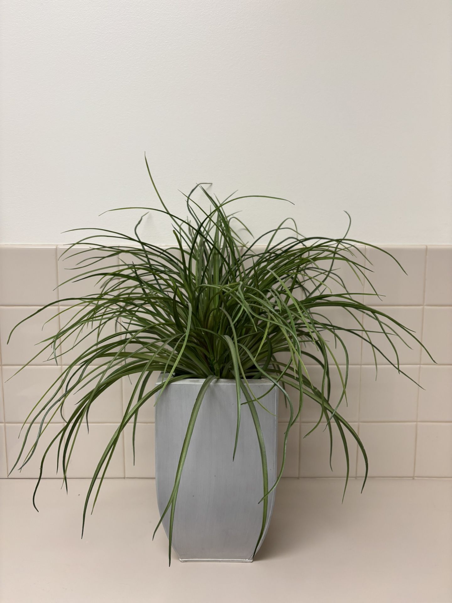 Medium Sized Fake Plant