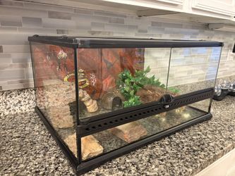 Reptile/Small Animal Tank Terrarium Plus Decor (Gecko, Lizard, Snake, Small Animal)