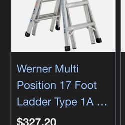 MT 17 Werner Ladder
