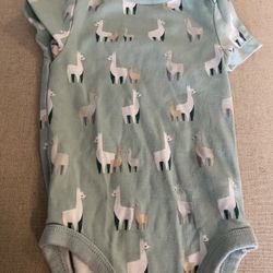 Baby Onesie 