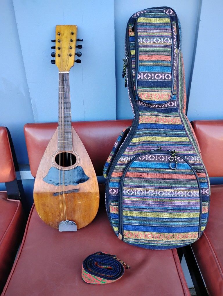 Vintage Bowl Back Mandolin 