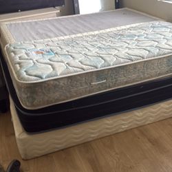 mayress full side $80