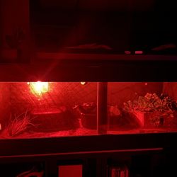 5x2x2 PVC Reptile Enclosure 