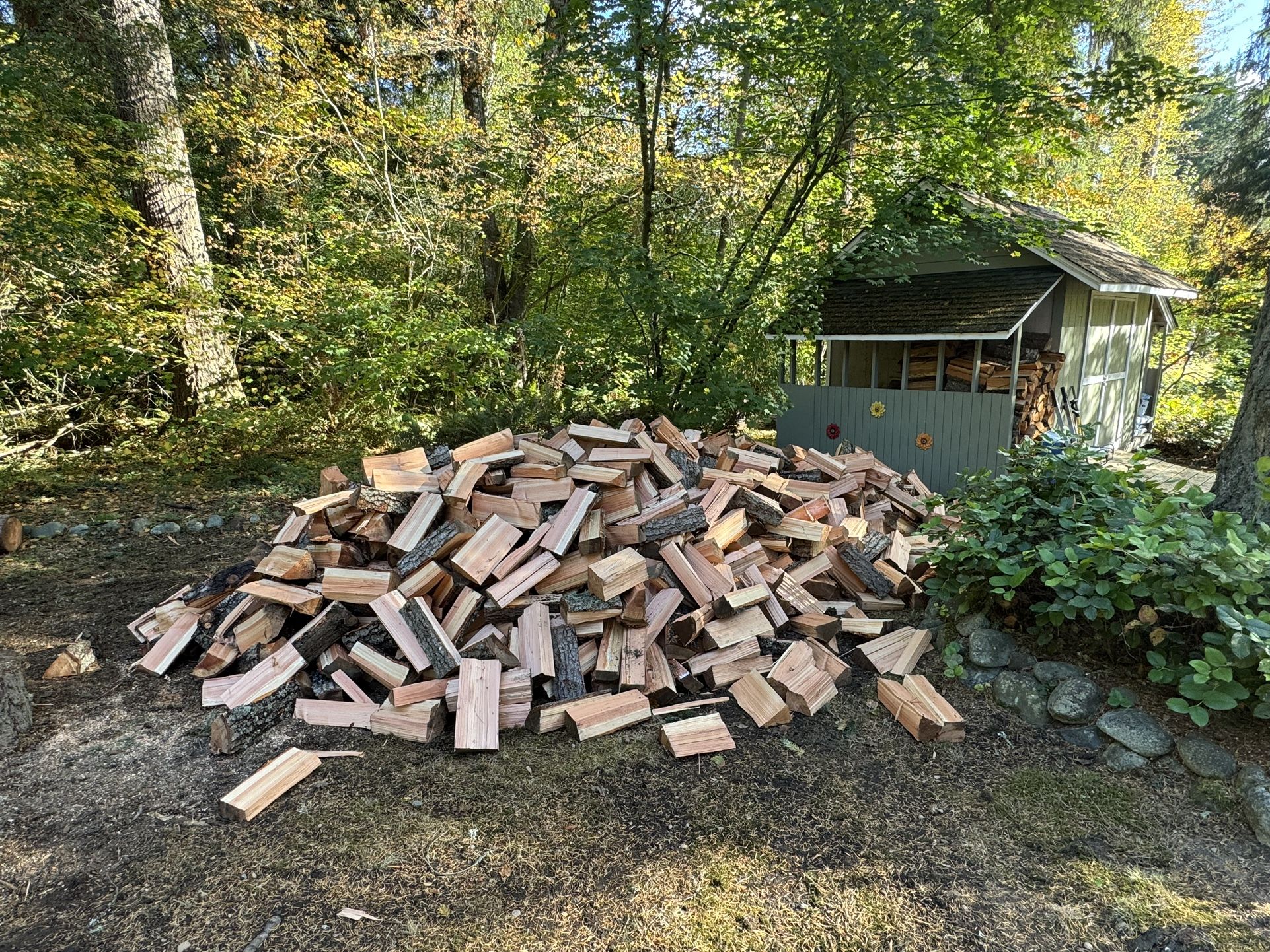 Firewood 