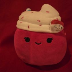 5" By 5 1/2"  Squishmallow 