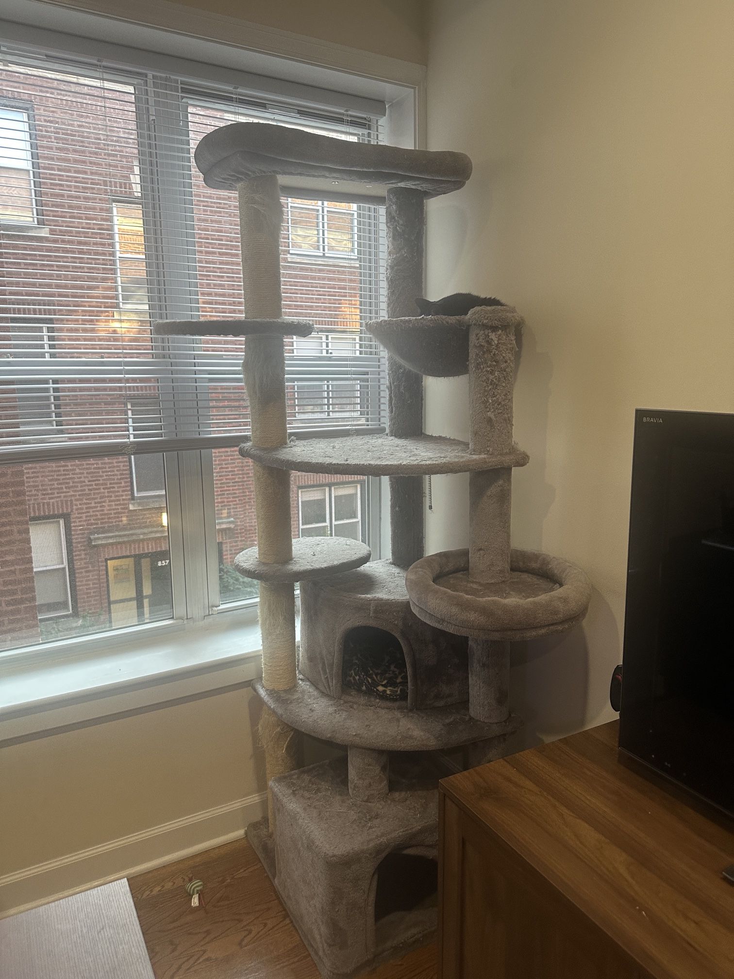 6 Foot Cat Tree