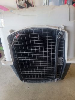 Pet Taxi/crate