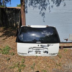 Rear Gate With Glass 2004 Chevy Trailblazer 