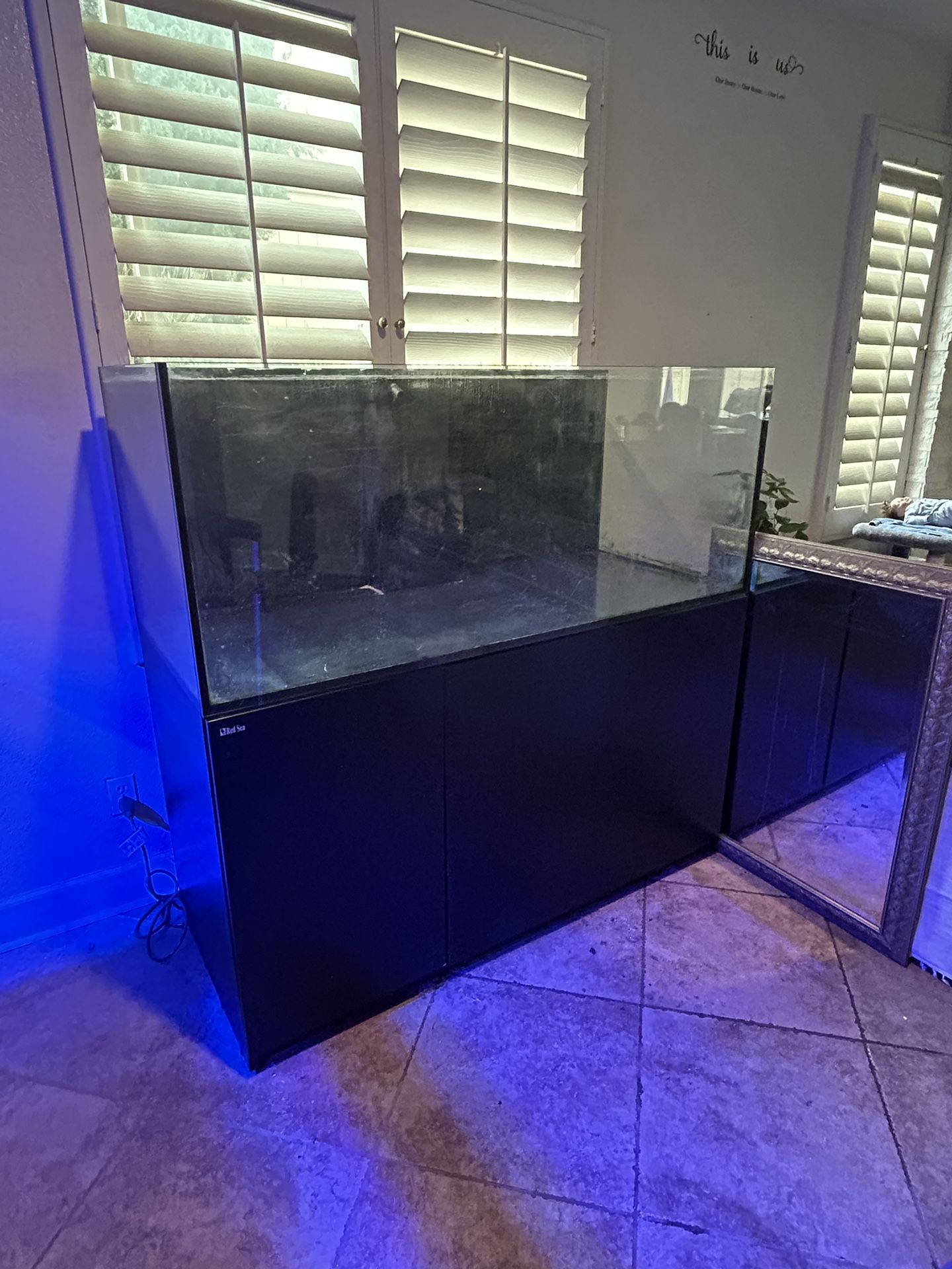 Fish Tank 