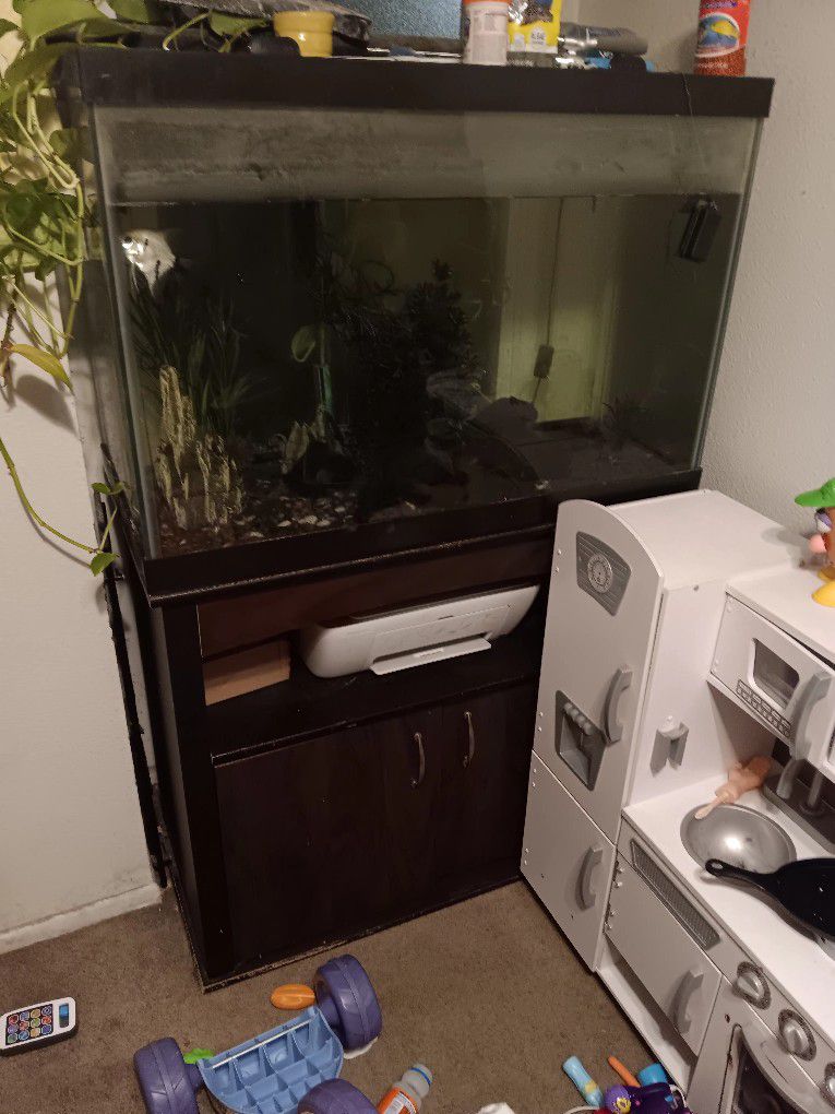 Fish Tank 65 And Stand 