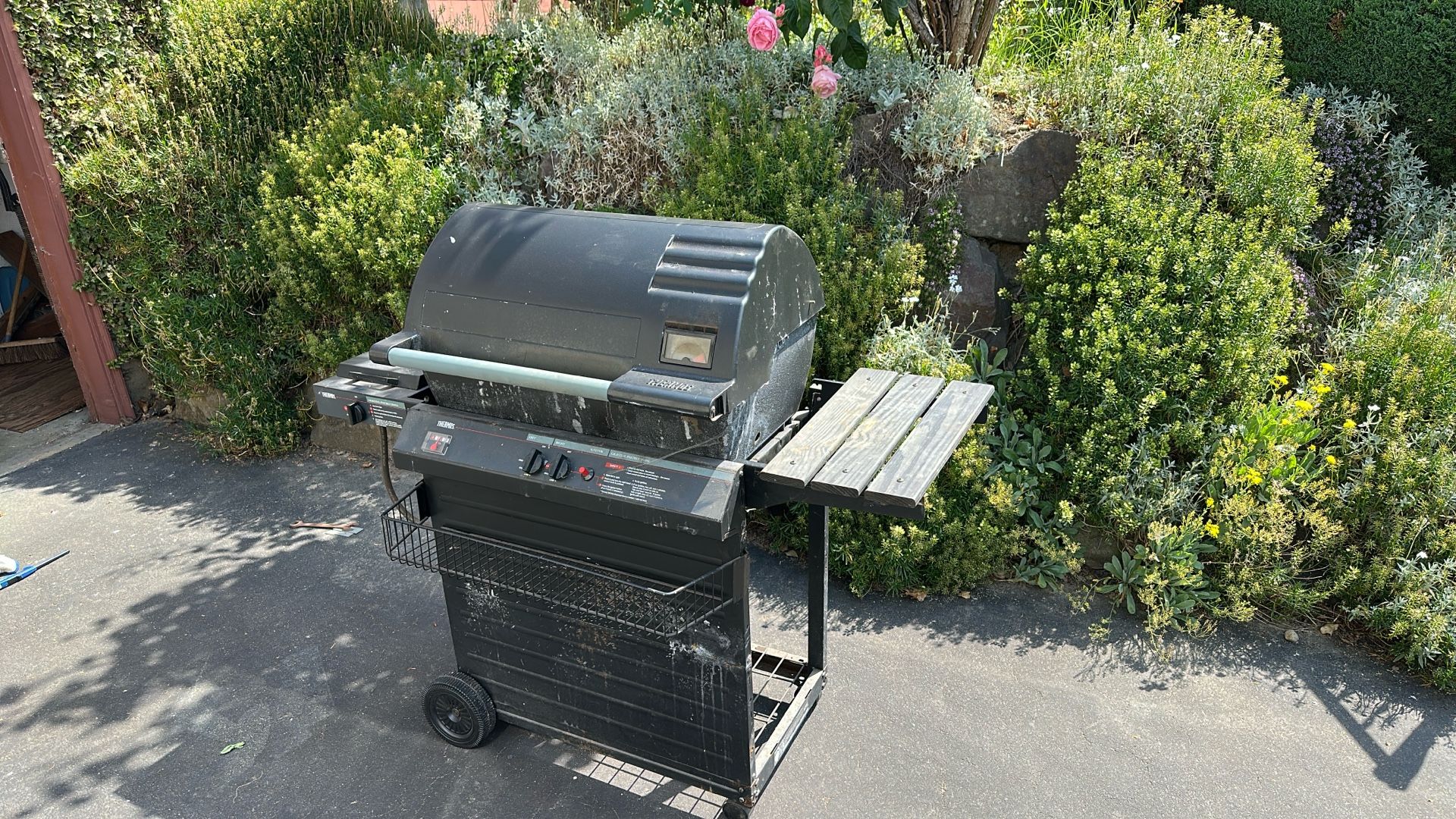Barbecue/ Barbeque / BBQ - Thermos
