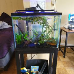 Aquarium